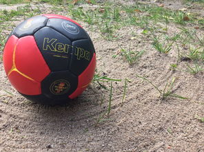 开云体育中国-凯尔特人B队横扫快船，费沃斯三分雨点燃全场—深度与信任的胜利之歌